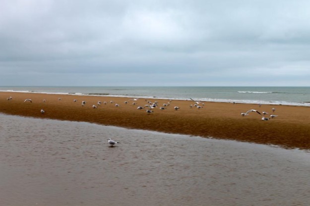 FrankDiMauro-SmileTrain-0626